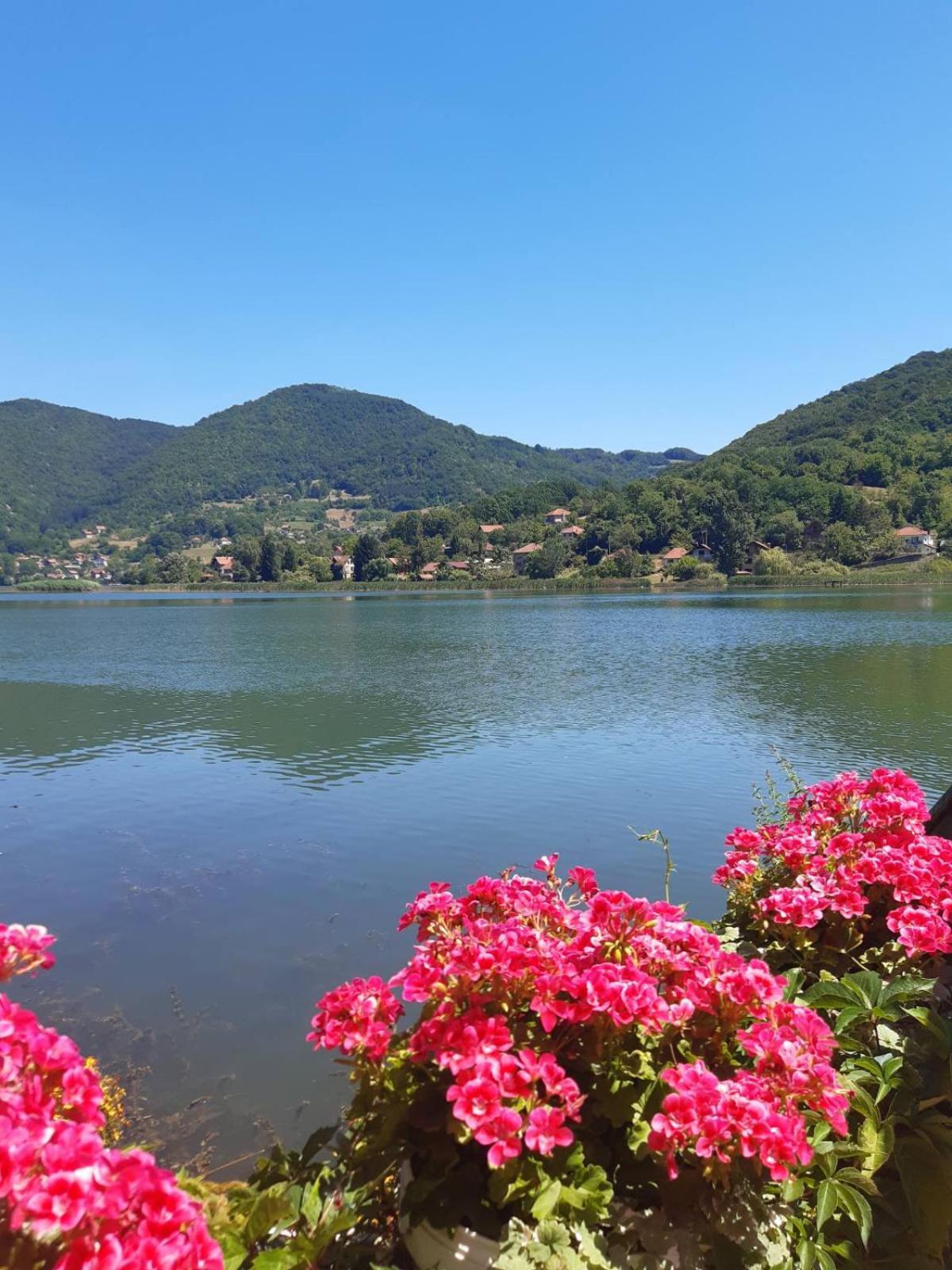 Vila Oaza - Zvornicko Jezero Zvornik Exterior foto
